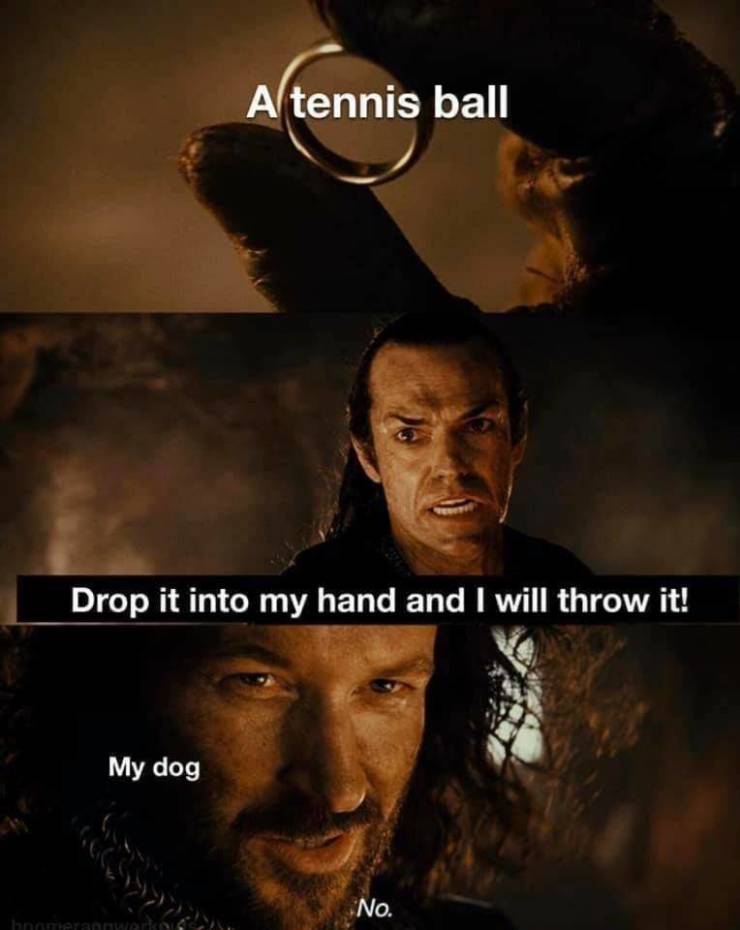 tennisball_and_dog.jpg