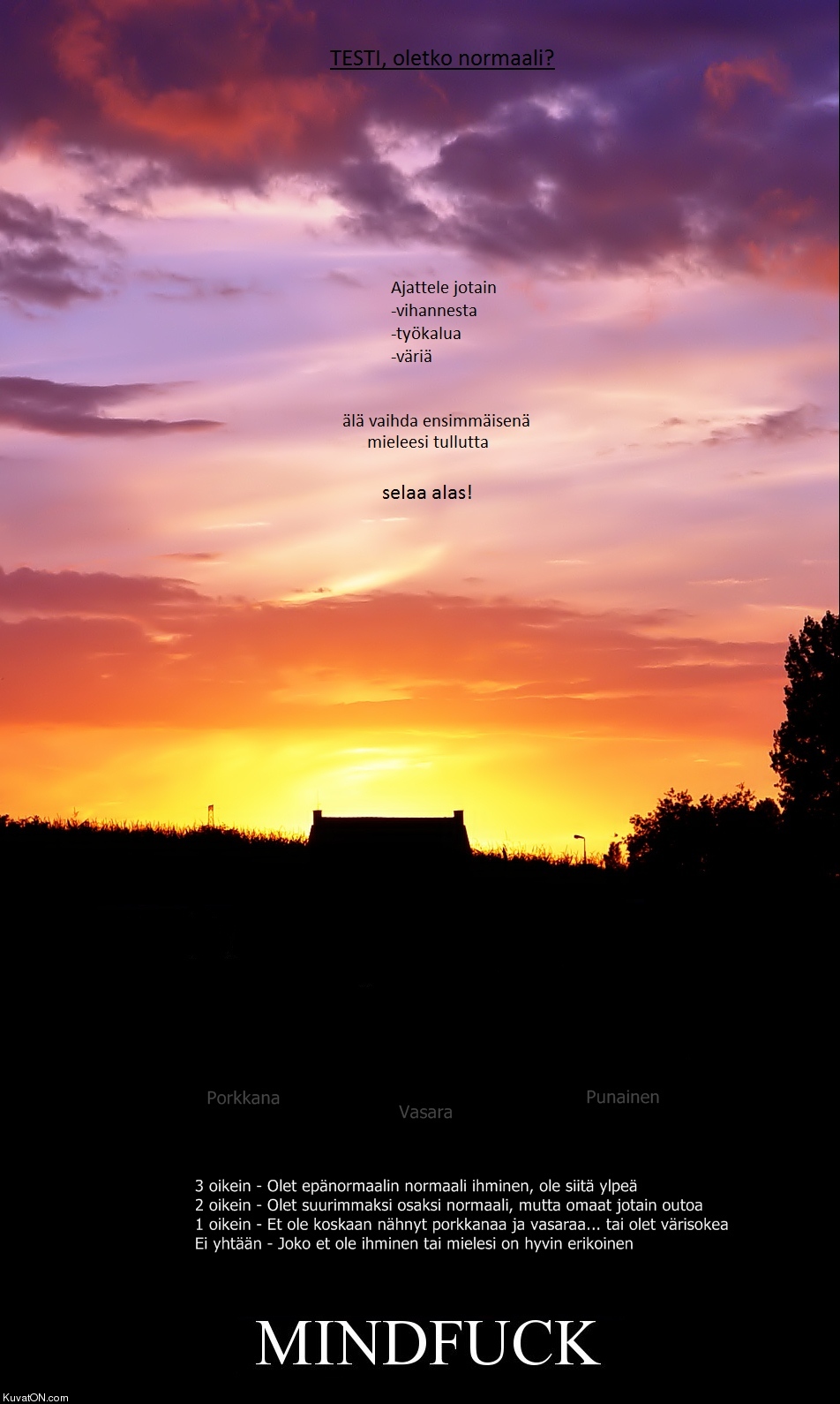 testi_-_oletko_normaali.jpg