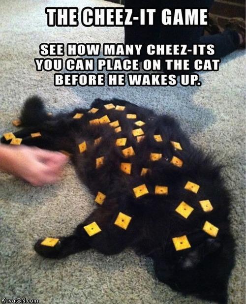 the_cheez_it_game.jpg