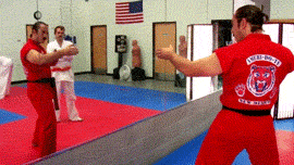 the_most_impressive_martial_arts_move_in_the_world.gif