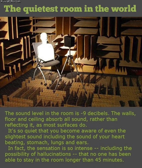 the_quietest_room_in_the_world.jpg