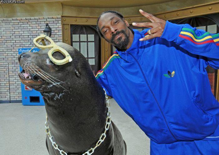 the_seal_and_the_dogg.jpg