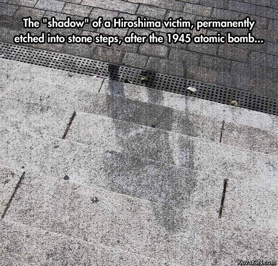 the_shadow_of_tragedy.jpg