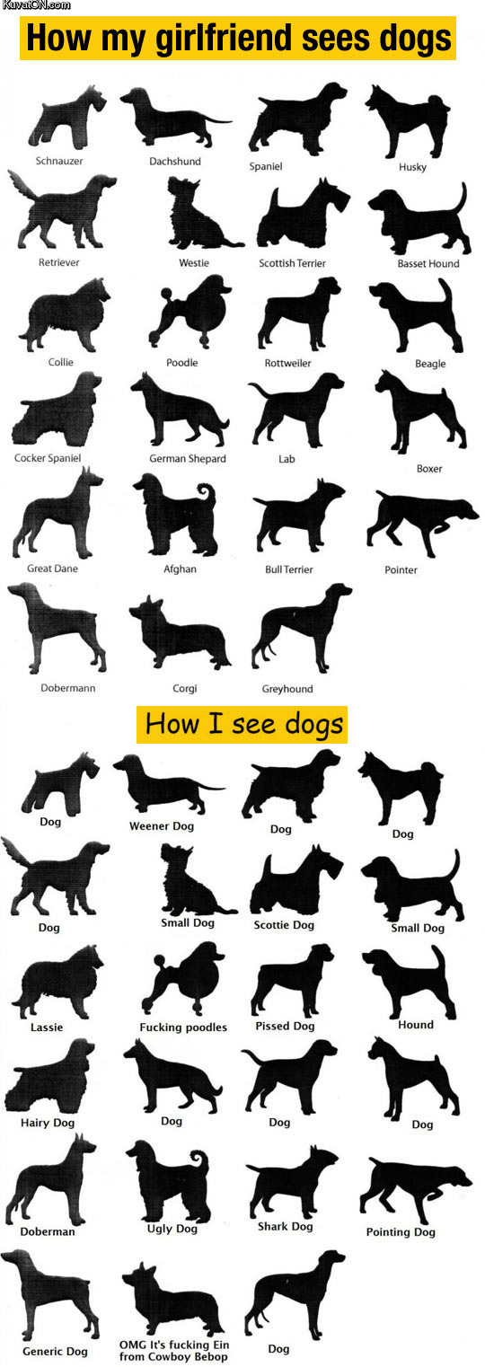 the_way_we_see_dogs.jpg