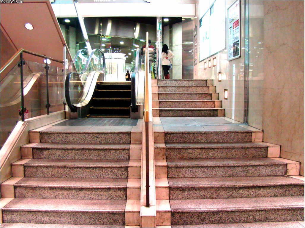 the_worlds_shortest_escalator.jpg