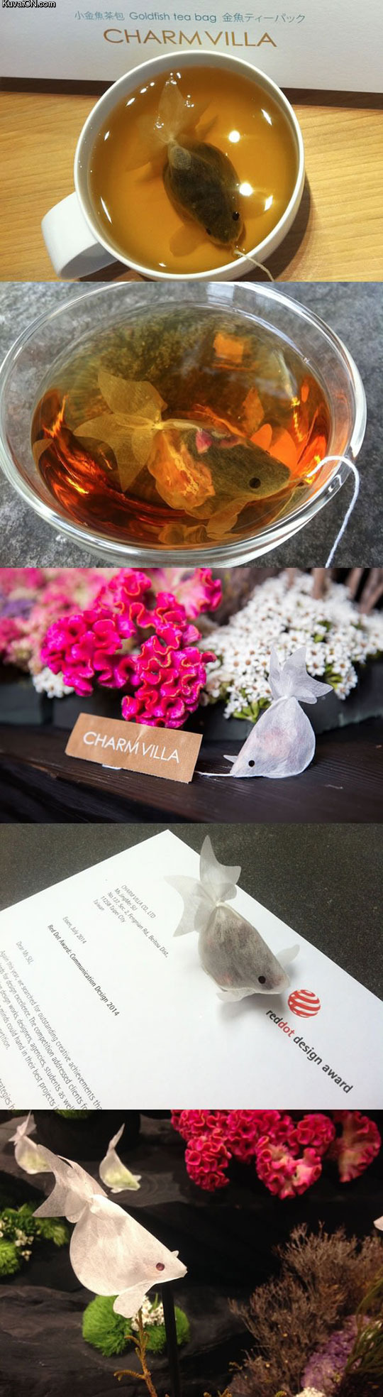 these_tea_bags_look_like_goldfish.jpg