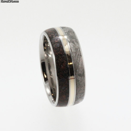 this_is_a_ring_made_from_dinosaur_bone_meteorite_and_gold.jpg