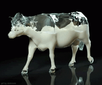 this_is_how_i_imagine_a_cow_looks_like_inside.gif