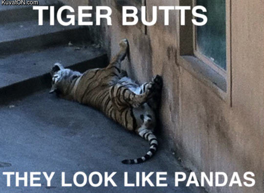 tiger_butt.jpg