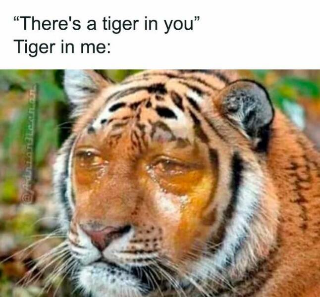 tiger_in_you.jpg