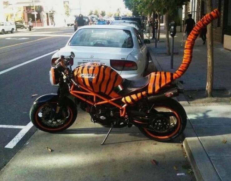 tigerbike.jpg