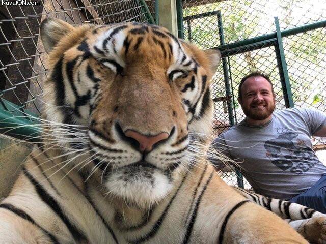 tigerselfie.jpg