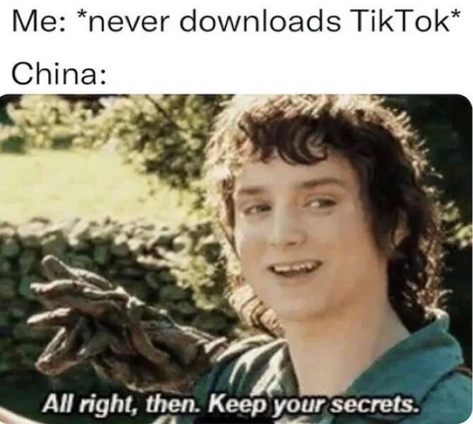 tiktok2.jpg