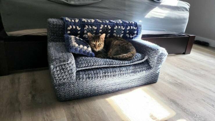 tinycatsofa.jpg