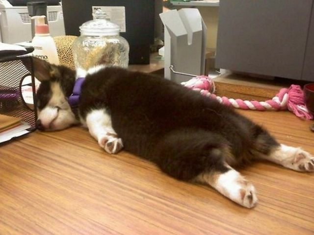 tired_640_02.jpg