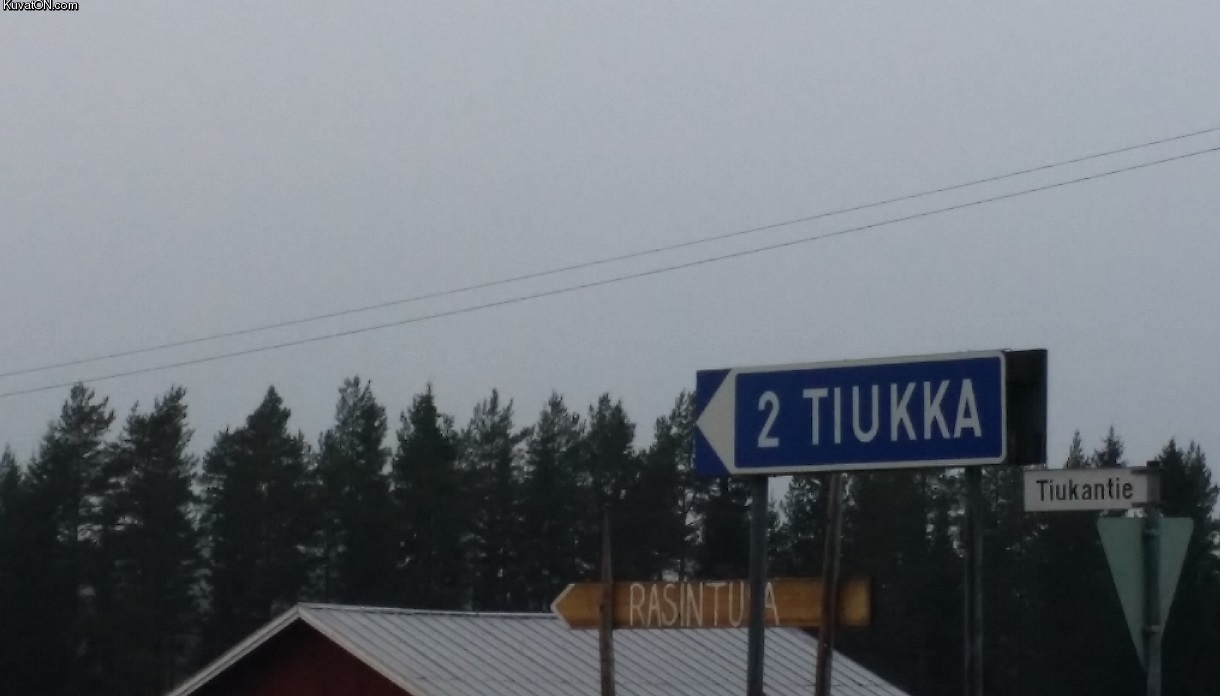 tiukka2.jpg