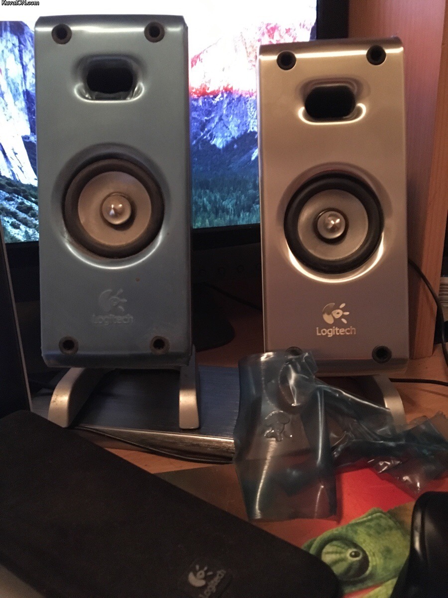today_i_learned_the_speakers_i_have_had_for_11_years_are_really_silver.jpg