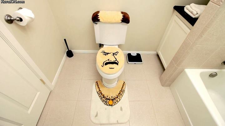 toilet13.jpg