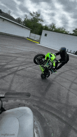 tonkss.gif