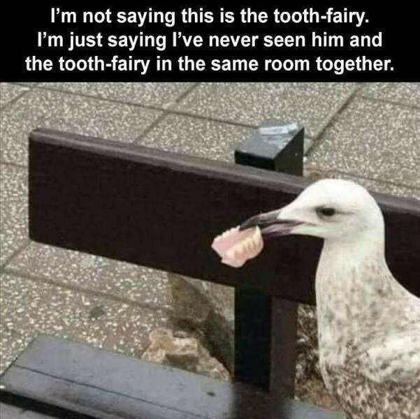 toothfairy3.jpg