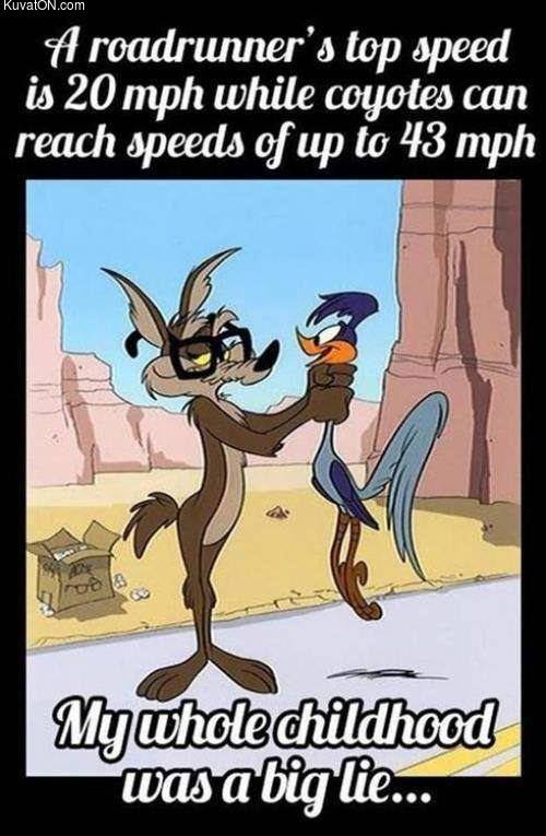 top_speed.jpg