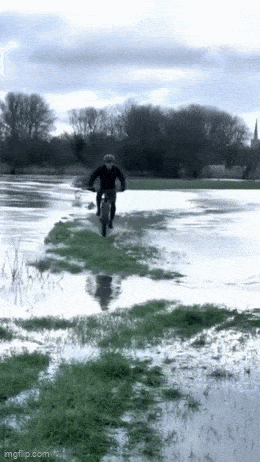 tosta_yli_2.gif
