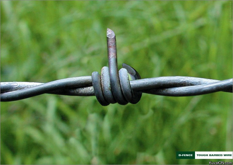 tough_barbed_wire.jpeg