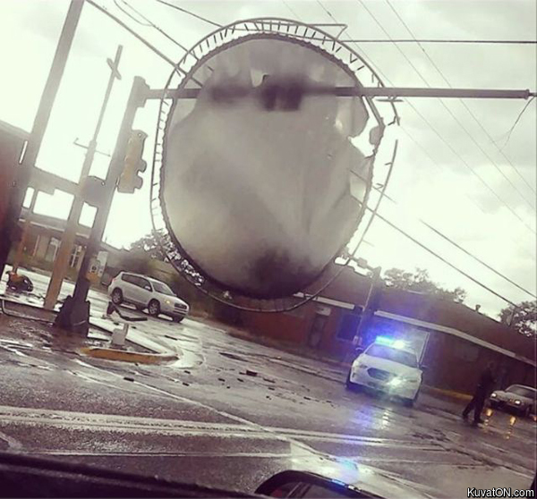 trampoline_failure.jpg