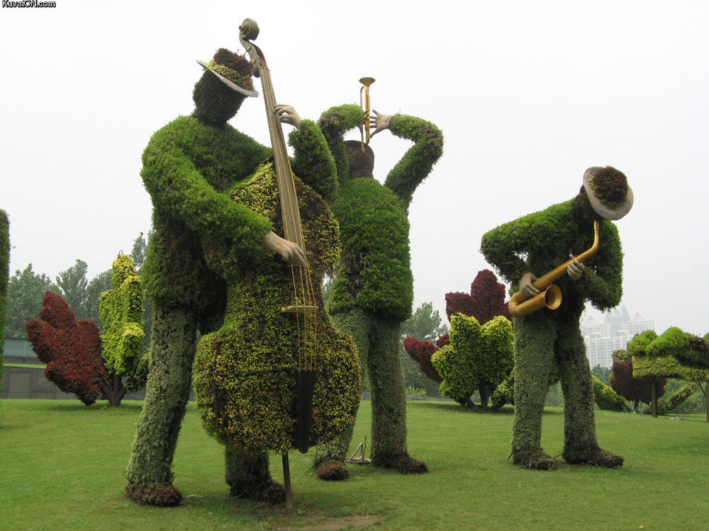 tree_jazz_band.jpg