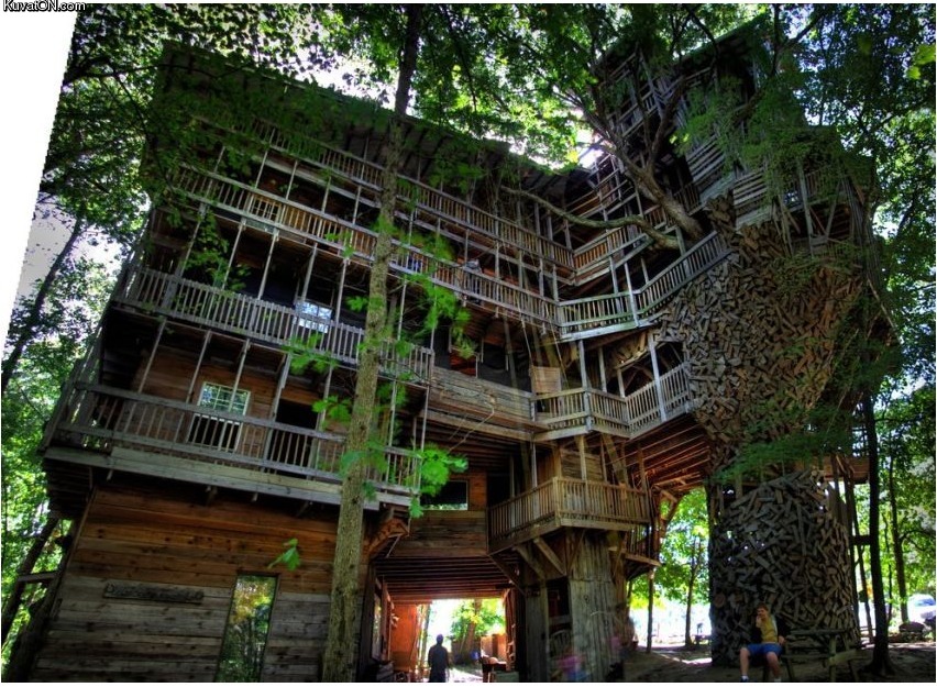 treehouse2.jpg