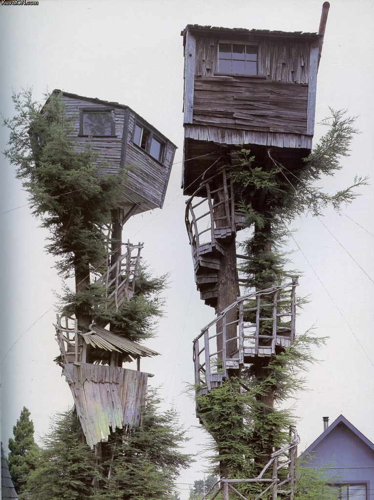 treehouse3.jpg