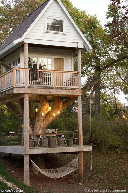 treehouse4.jpg