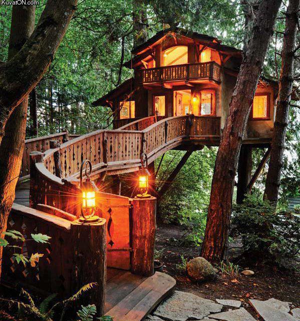 treehouse6.jpg