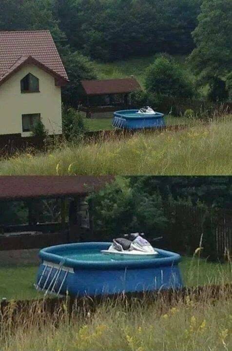treeniallas.jpg