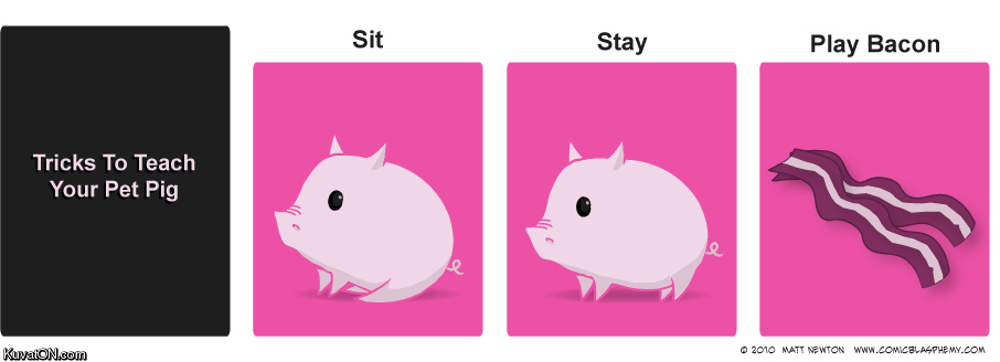 tricks_to_teach_your_pet_pig.jpg
