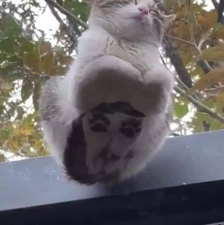 tuntuu_etta_minua_katsellaan.jpg