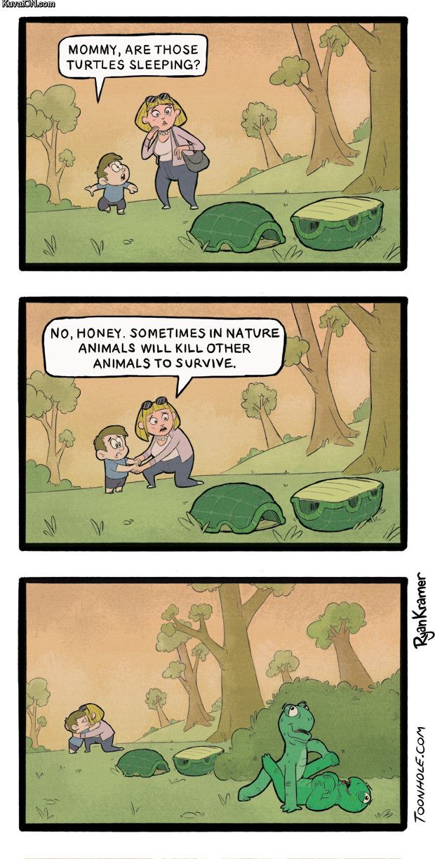 turtle_shells_comic.jpg