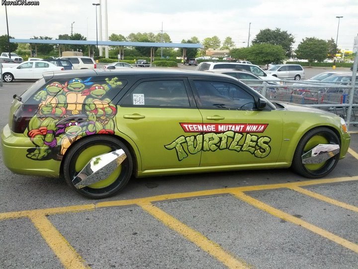 turtles_car.jpg