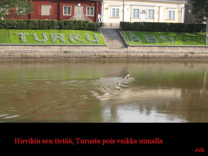 turusta_pois.jpg