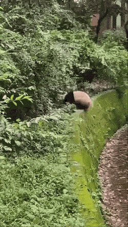 tuun_taalta4.gif