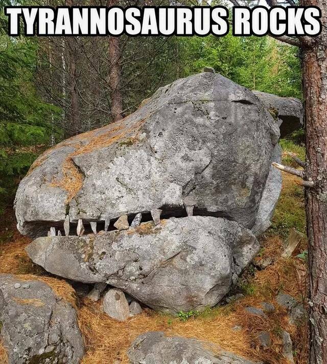 tyrannosaurusrocks2.jpg