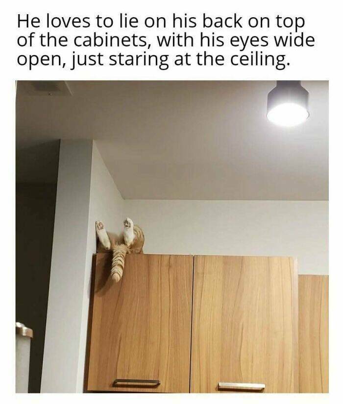 tyylinsä_kullakin.jpg