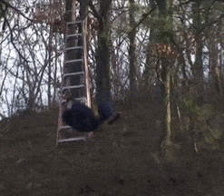 täältä_tullaan_2.gif