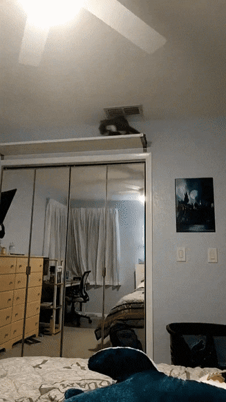 täältä_tuun.gif
