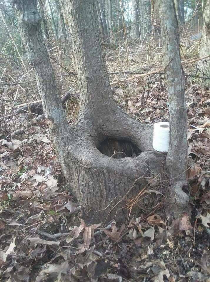 ulkohuussi.jpg