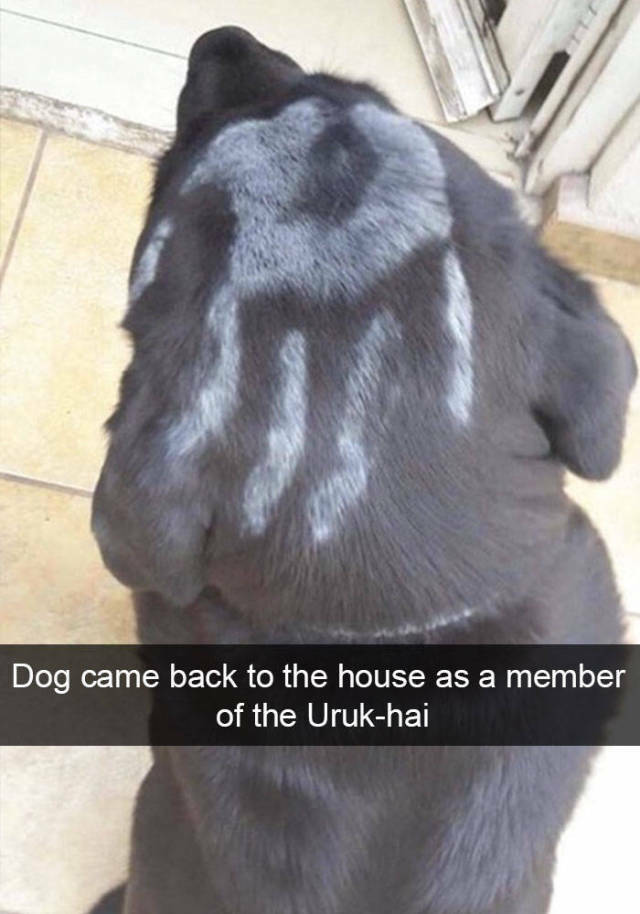 uruk_hai.jpg
