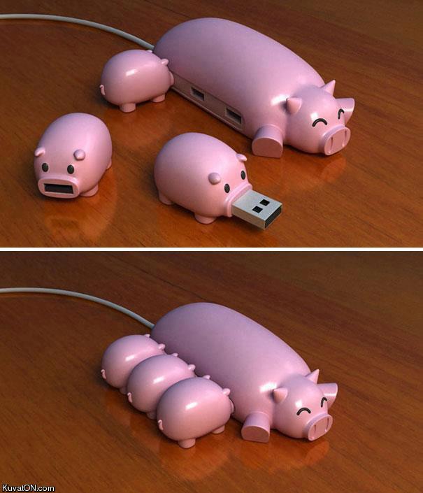 usb_pigs.jpg