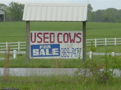 used_cows_for_sale.jpg