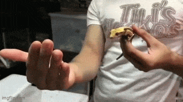 väärin_tähdätty.gif