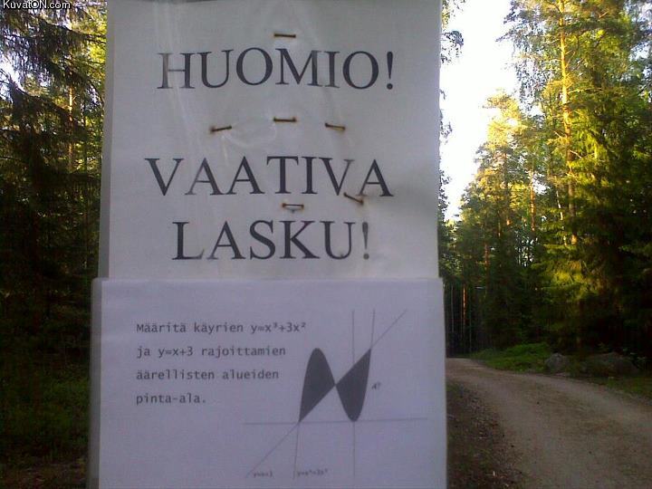 vaativa_lasku.jpg